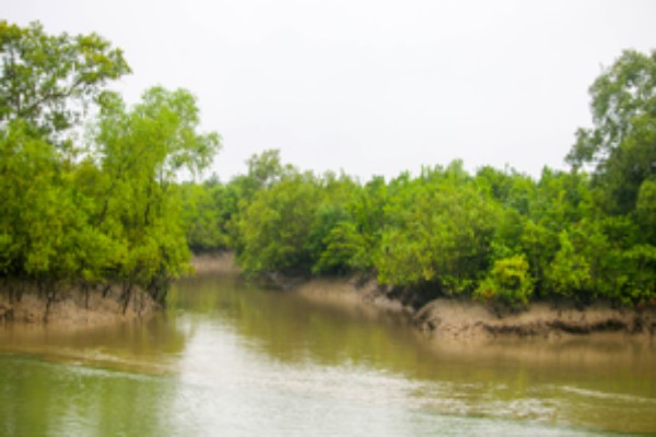 Sundarban islands used as safe Havens by Bangladeshis